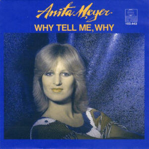 Anita Meyer single The Vinyl DJ