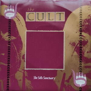 The Cult single The Vinyl DJ