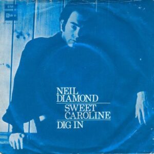 Neil Diamond single The Vinyl DJ