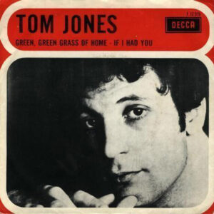 TOM Jones The Vinyl DJ