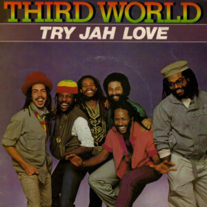 Third World single The Vinyl DJ