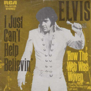 Elvis Presley The Vinyl DJ